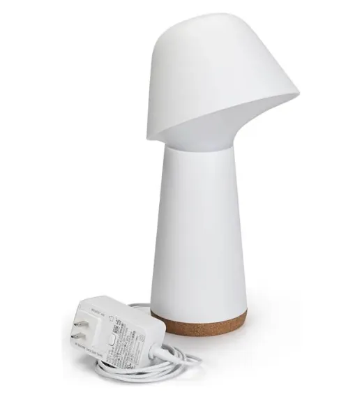 Philips Hue White Ambiance Lighting